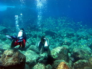 Diving Pulau Weh
