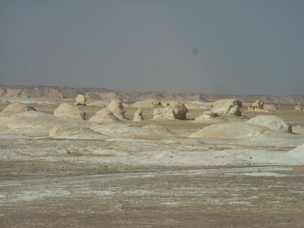 White Desert sculptures