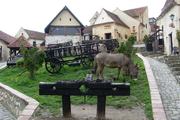 Inside Rasnov fortress