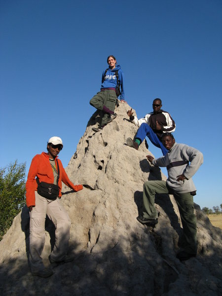 Now that's a termite mound!