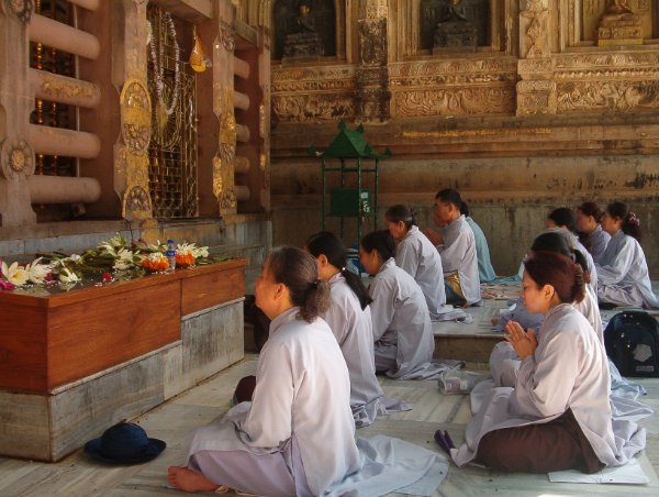 Meditation under the Bodhi Tree