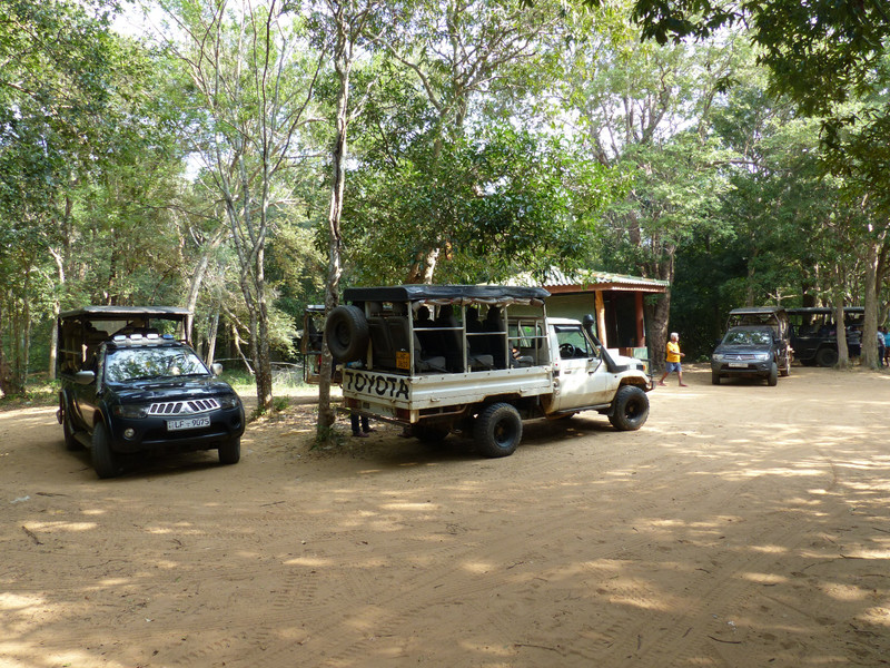 Safari jeeps at rest