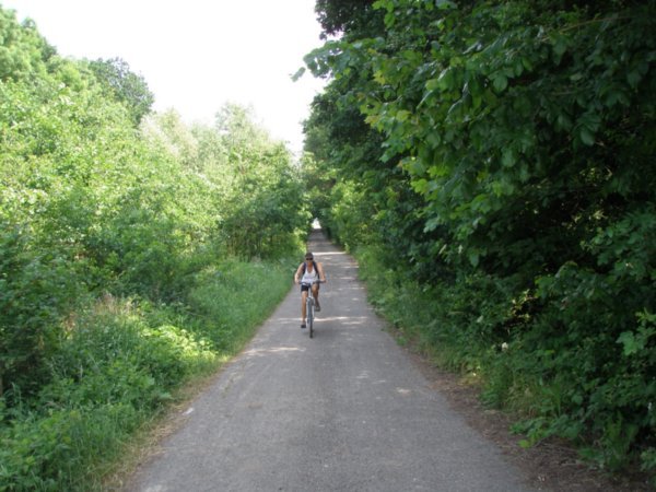 The bike trail