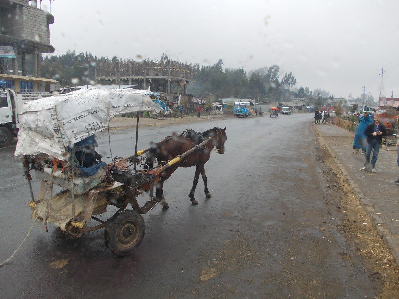 Transport option in Ethiopia