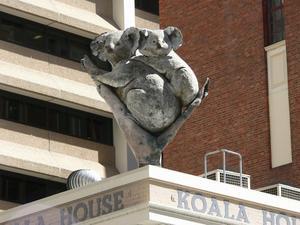 Koala House