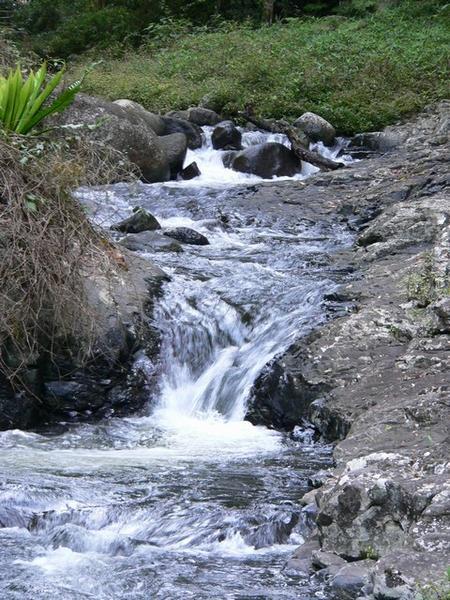 Canungra Creek