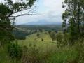 Mount Warning in the distance