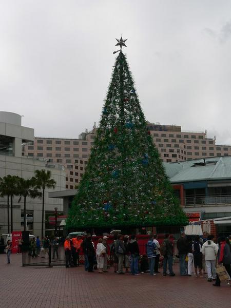 Sydney Christmas tree
