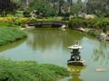 Japanese garden at Cowra