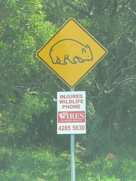Wombat sign