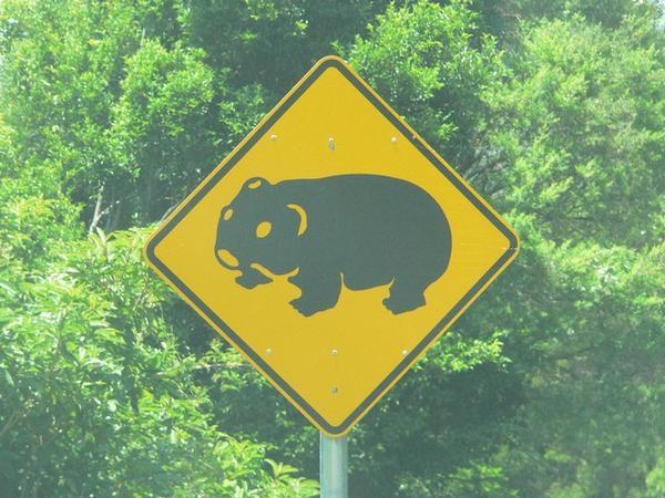Another wombat sign