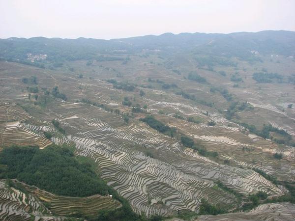 Rice terraces near Duo Yi Shu