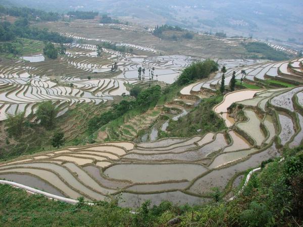 Rice terraces near Duo Yi Shu