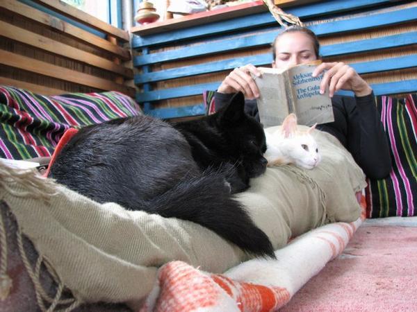 LA Woman multitasking as reader and pet bed