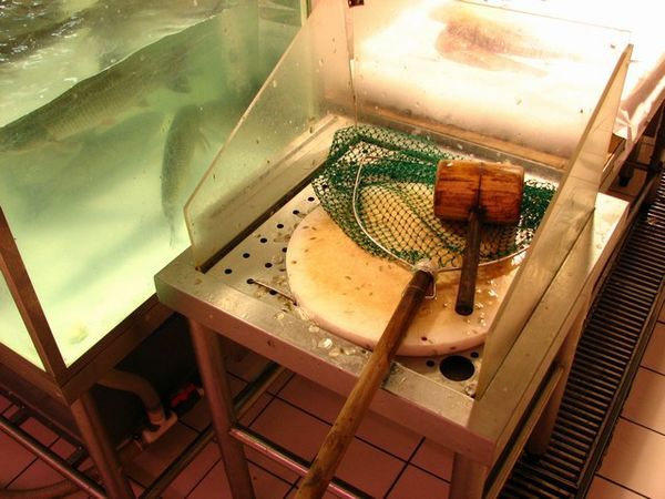 Fate awaiting Carrefour fish