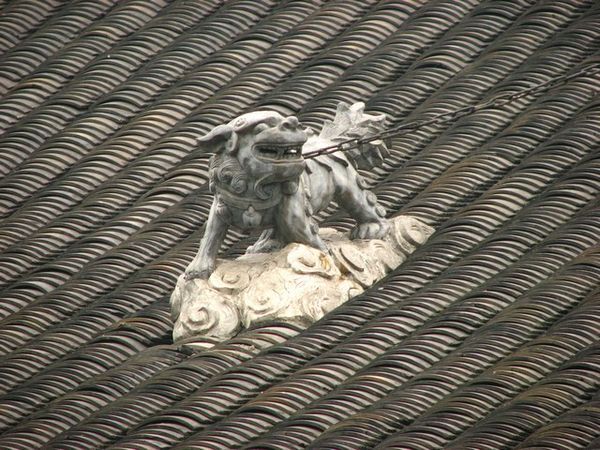 Dog chained to roof