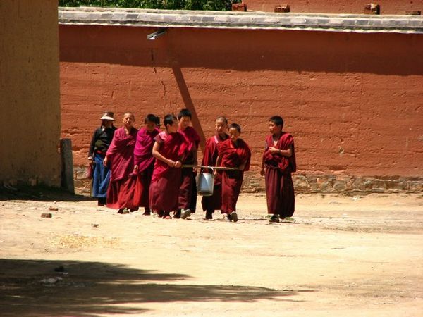 Mini-monks