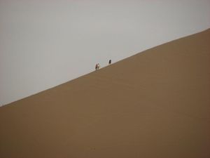 Walkers on a dune