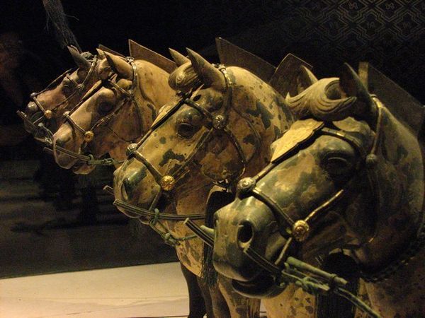 Chariot horses