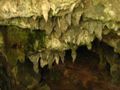 Stalactites in the Big Cave