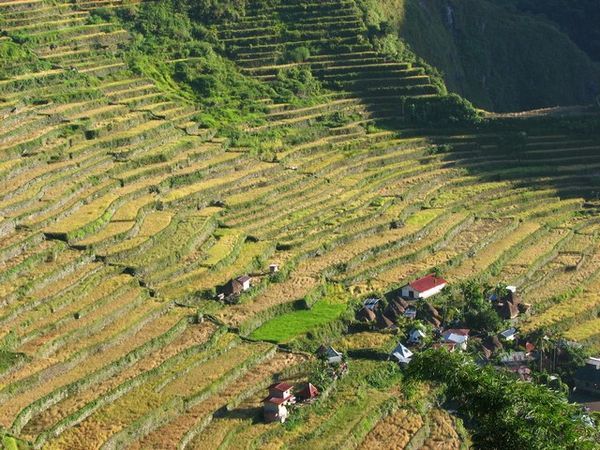 Rice terraces and Batad village