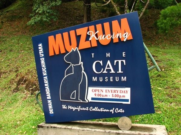 Cat museum sign
