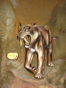 Sabre-toothed cat
