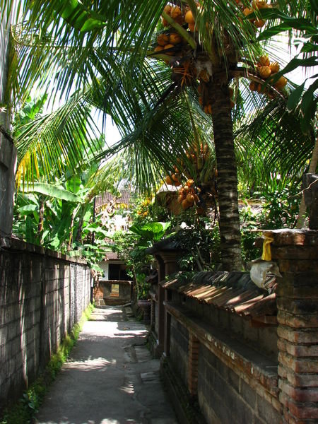 Alley leading to our guesthouse