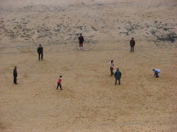 French cricket on the beach