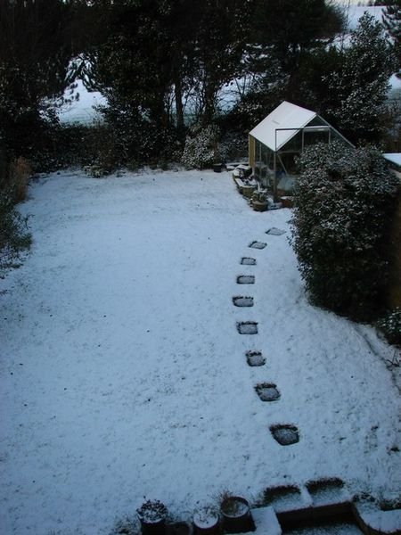 Snow in the back garden