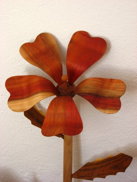Cuban flower