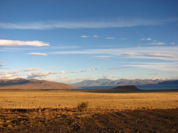 Patagonian steppe