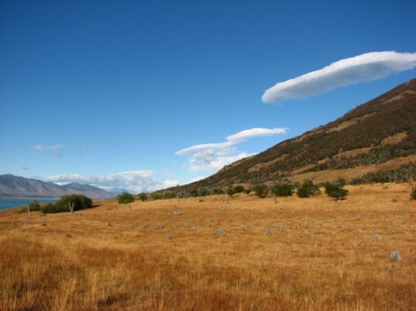 Patagonian steppe