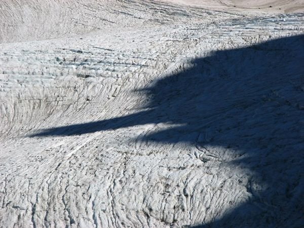 Shadow woodpecker on glacier
