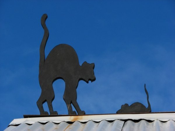 Cat (and mouse) on a tin roof
