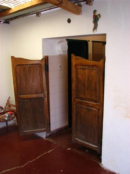 Toilet with cactus wood swing doors