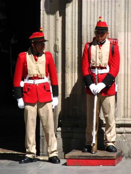Ceremonial guards