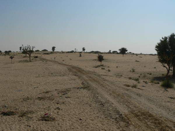 The lone and (sort of) level sands stretch far away