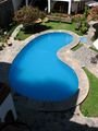 kidney inground pool