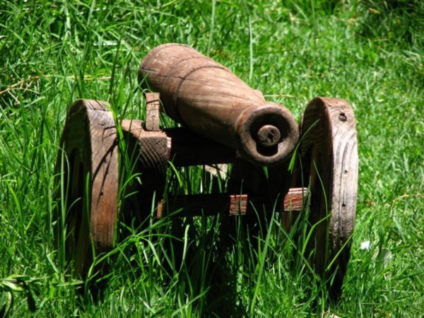 Wooden cannon