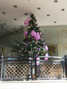 Christmas tree at hotel