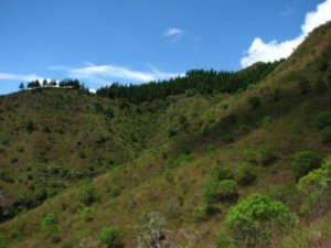 Landscape near Alto del Aguacate