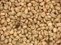 Processed coffee beans
