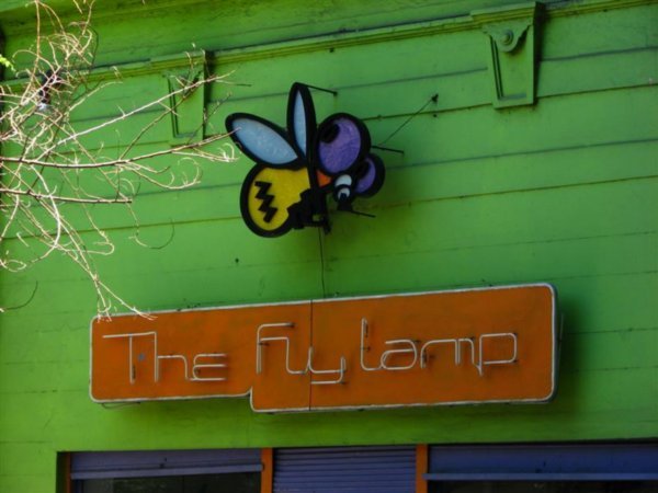 Niche shop - insect-shaped lights