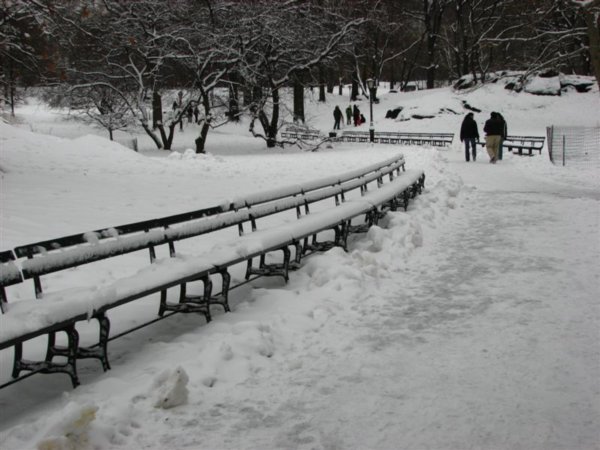 Snowy benches