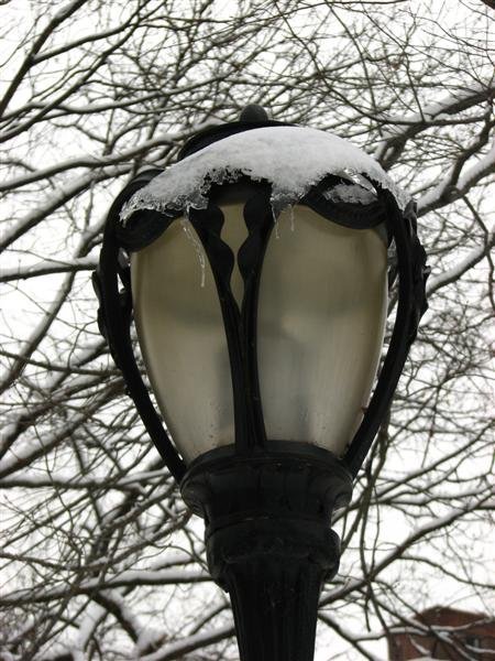 Snowy streetlight