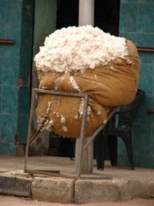 Cotton bale