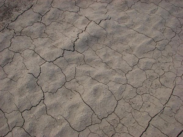 Sand cracks