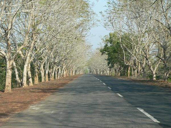 The road to Konarak