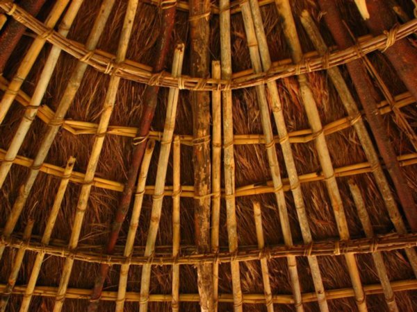 Banda ceiling